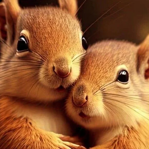 FIRST POSH SHOW - 01-50 Smalls, Mediums & Larges / Shoes: 7.5 & 8's, Purses - Picture 1 of 1